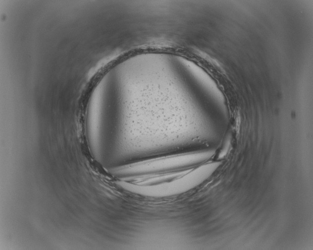 X0000066971160200604211859