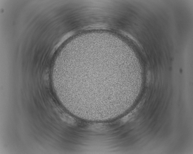 X0000066971162200604211859