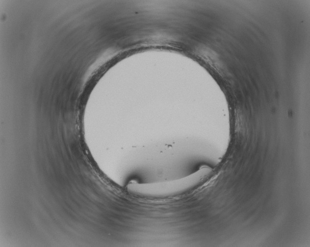 X0000066971164200604211859