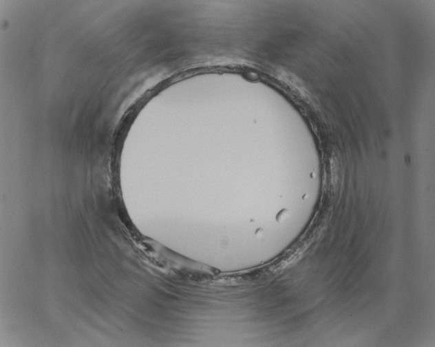 X0000066971165200604211859