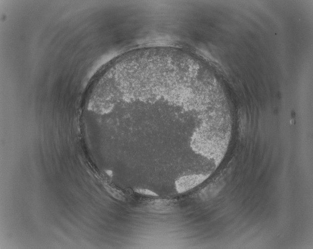 X0000066971166200604211859