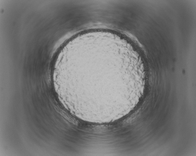 X0000066971167200604211859