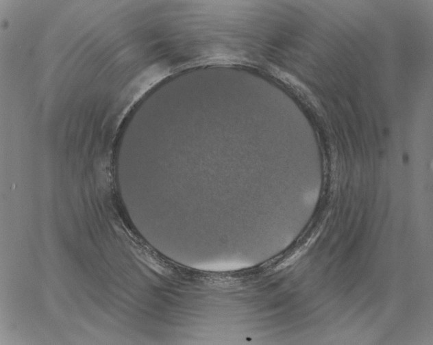 X0000066971170200604211859