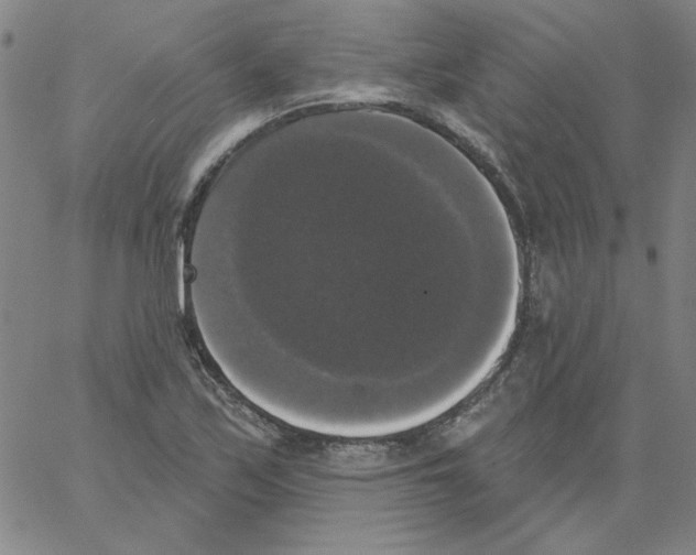 X0000066971171200604211859