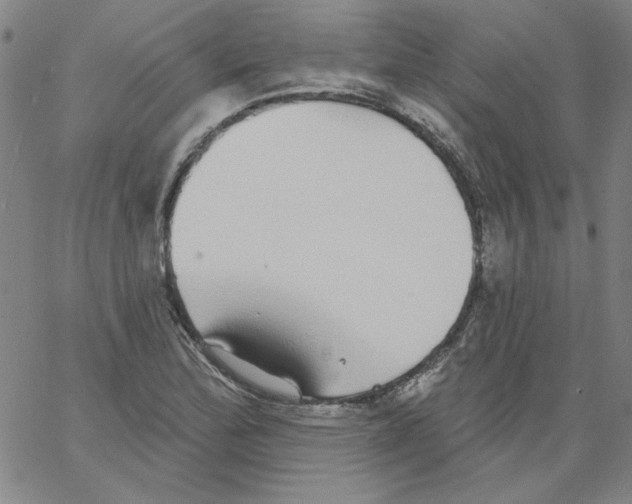 X0000066971172200604211859