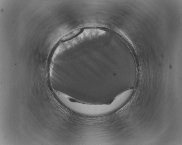 X0000066971173200604211859