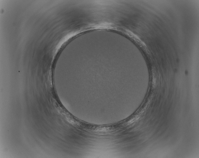 X0000066971174200604211859