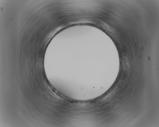 X0000066971177200604211859