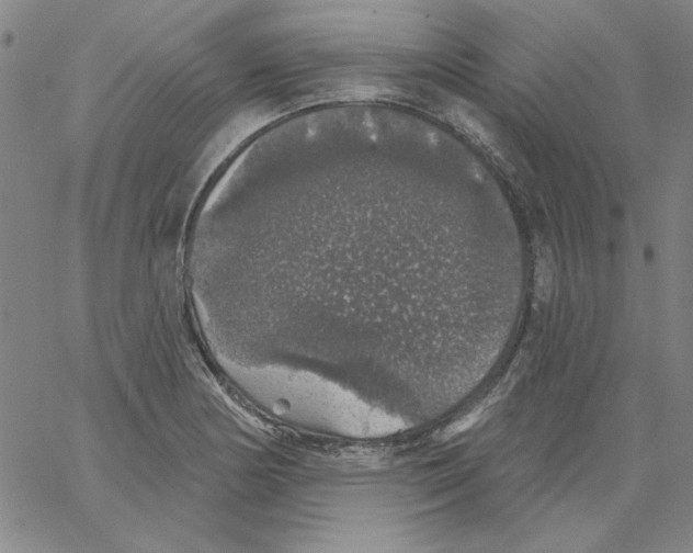 X0000066971178200604211859