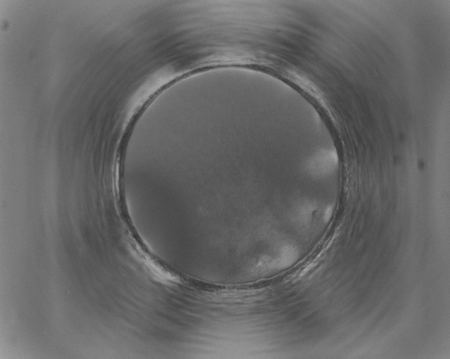 X0000066971179200604211859