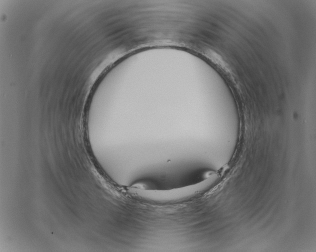 X0000066971181200604211859