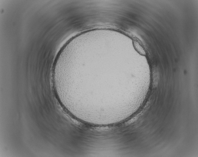 X0000066971182200604211859