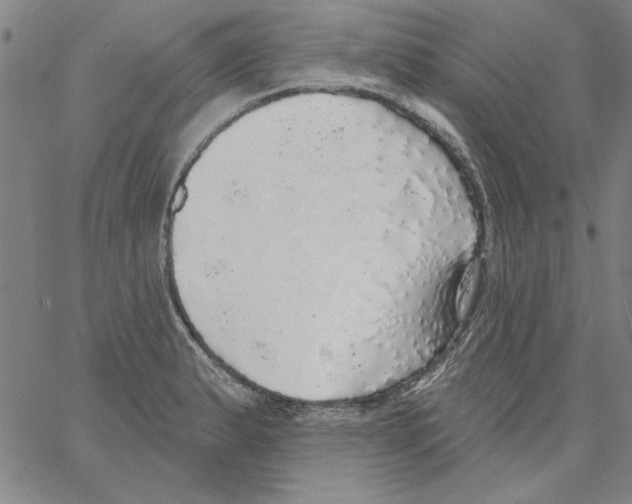 X0000066971183200604211859