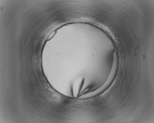 X0000066971184200604211859