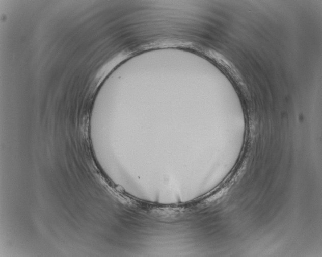 X0000066971185200604211859