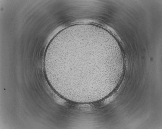 X0000066971186200604211859