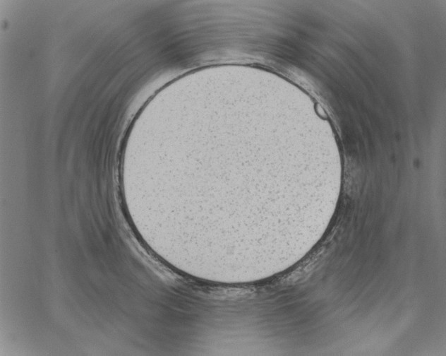 X0000066971187200604211859