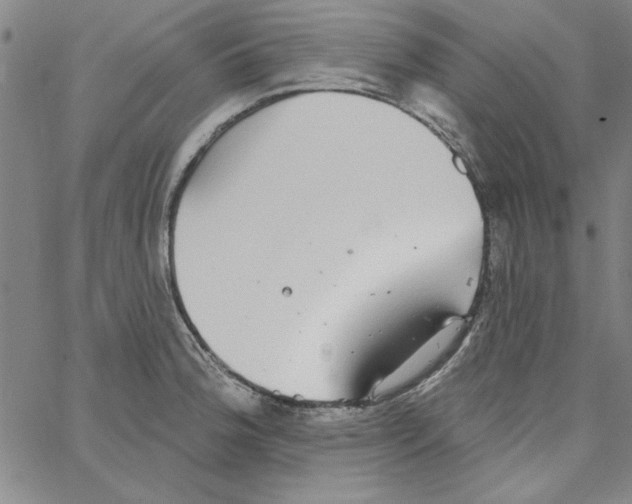 X0000066971188200604211859