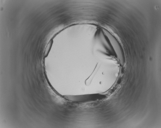 X0000066971189200604211859