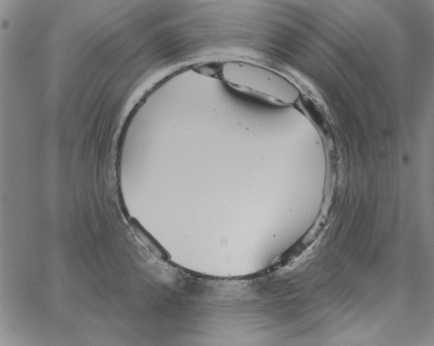 X0000066971192200604211859