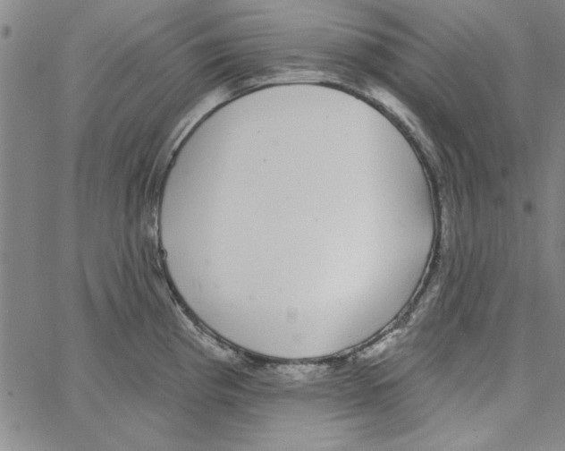 X0000066971193200604211859