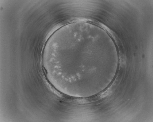 X0000066971194200604211858