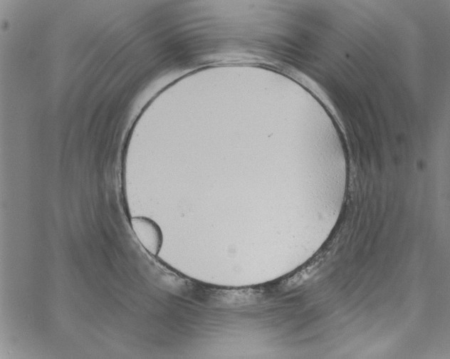 X0000066971195200604211858