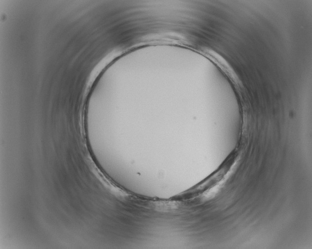 X0000066971196200604211858