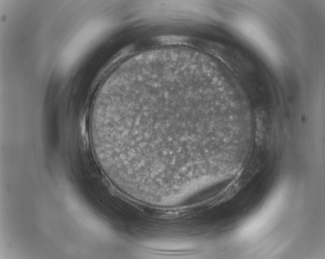 X0000066971198200604211858