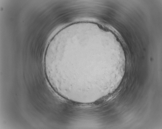 X0000066971199200604211858