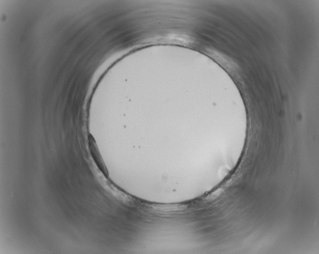 X0000066971200200604211858