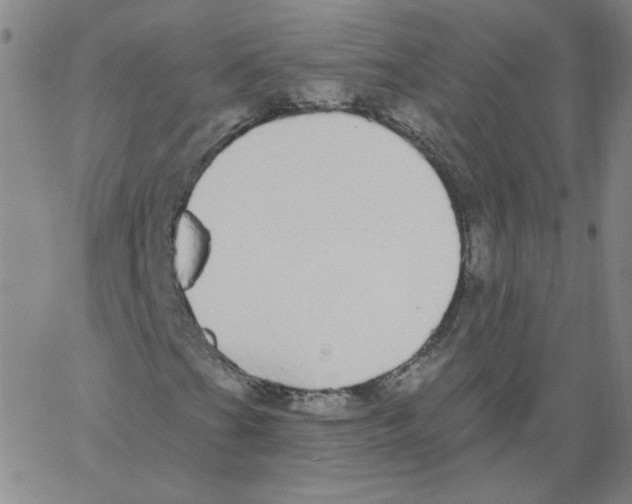 X0000066971201200604211858