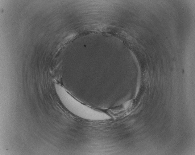 X0000066971202200604211858