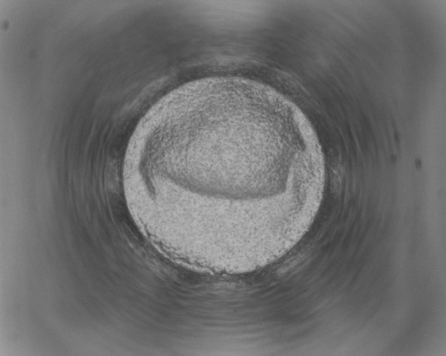 X0000066971204200604211858