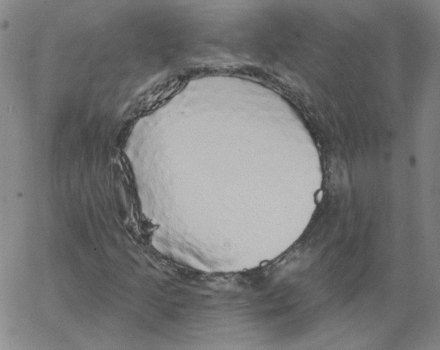 X0000066971205200604211858