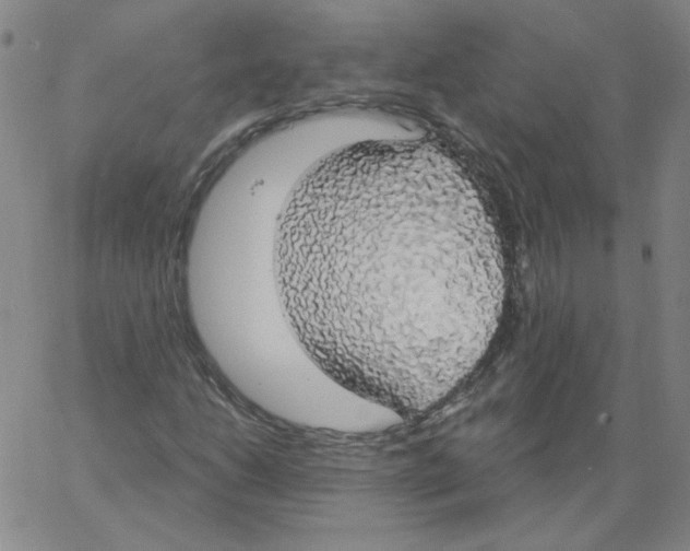 X0000066971206200604211858