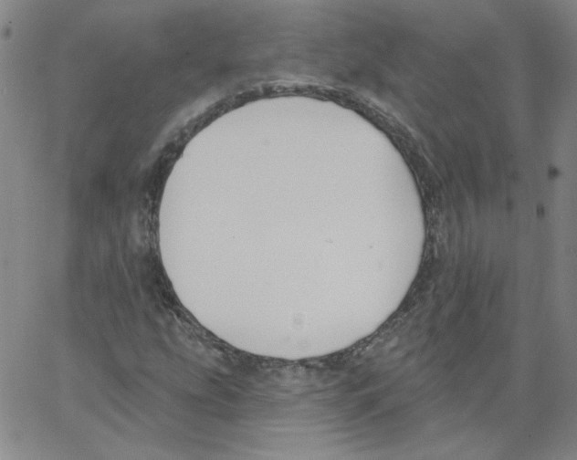 X0000066971207200604211858