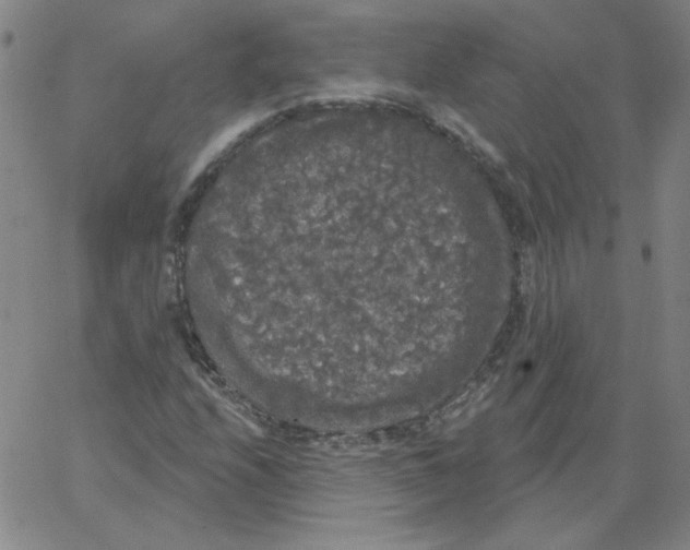 X0000066971208200604211858