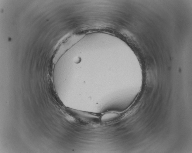 X0000066971210200604211858