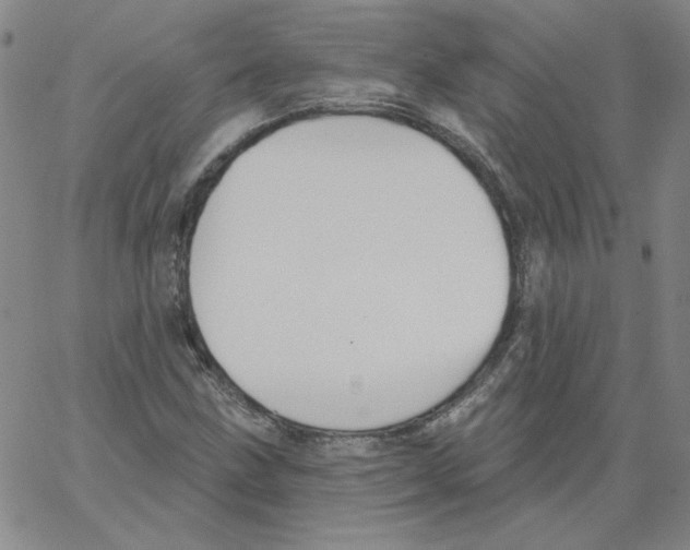 X0000066971211200604211858