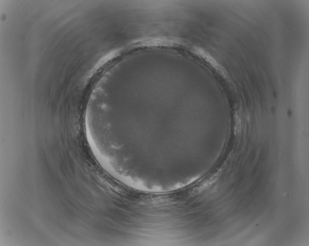 X0000066971213200604211858