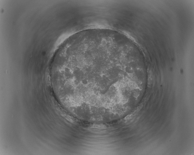 X0000066971215200604211858