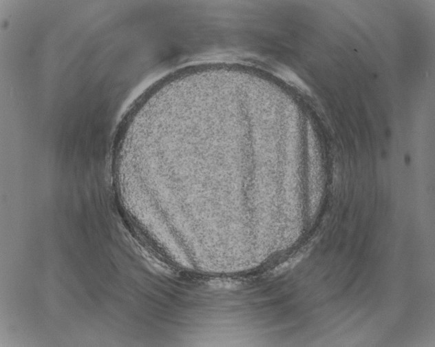 X0000066971216200604211858