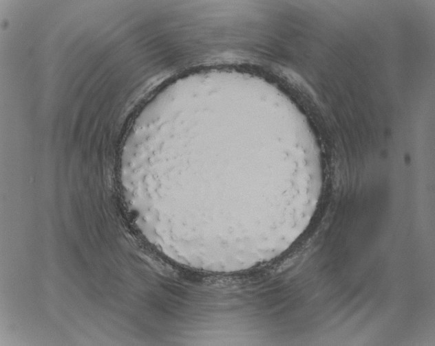 X0000066971217200604211858