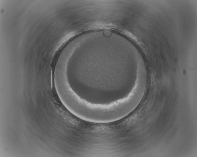 X0000066971219200604211858