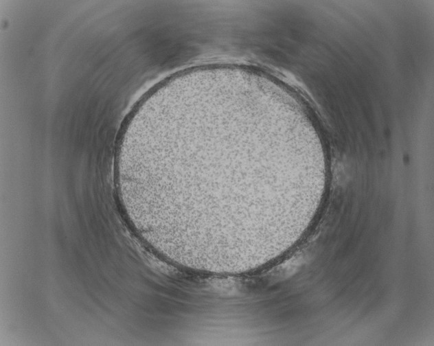 X0000066971220200604211858