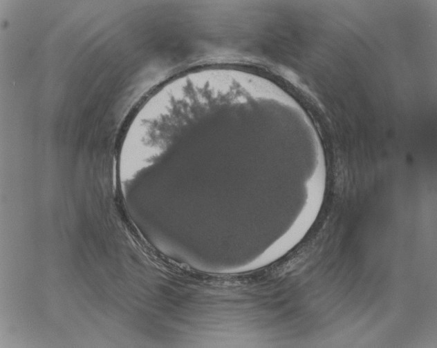 X0000066971221200604211858