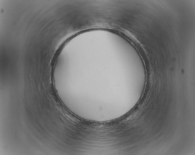 X0000066971222200604211858