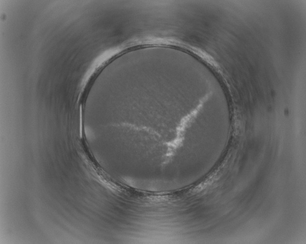 X0000066971223200604211858