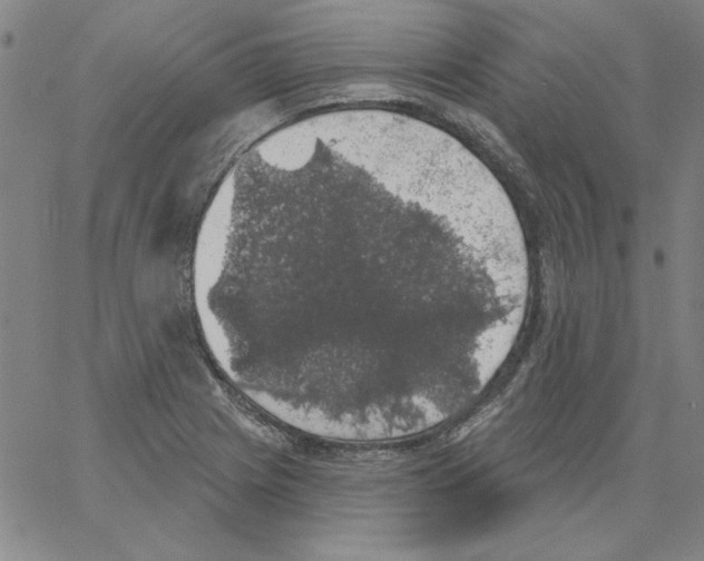 X0000066971225200604211858